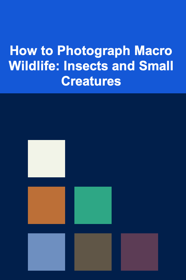 How to Photograph Macro Wildlife: Insects and Small Creatures