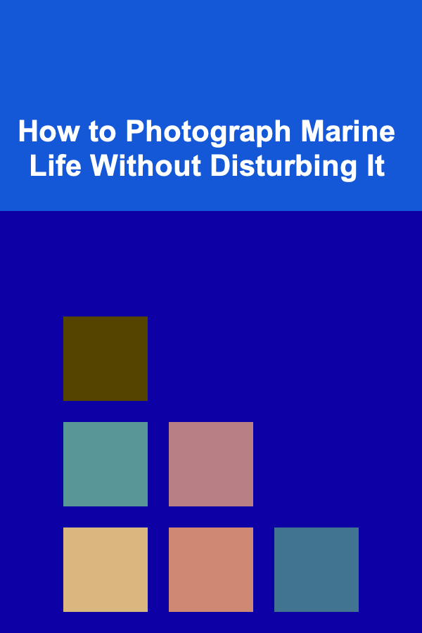 How to Photograph Marine Life Without Disturbing It