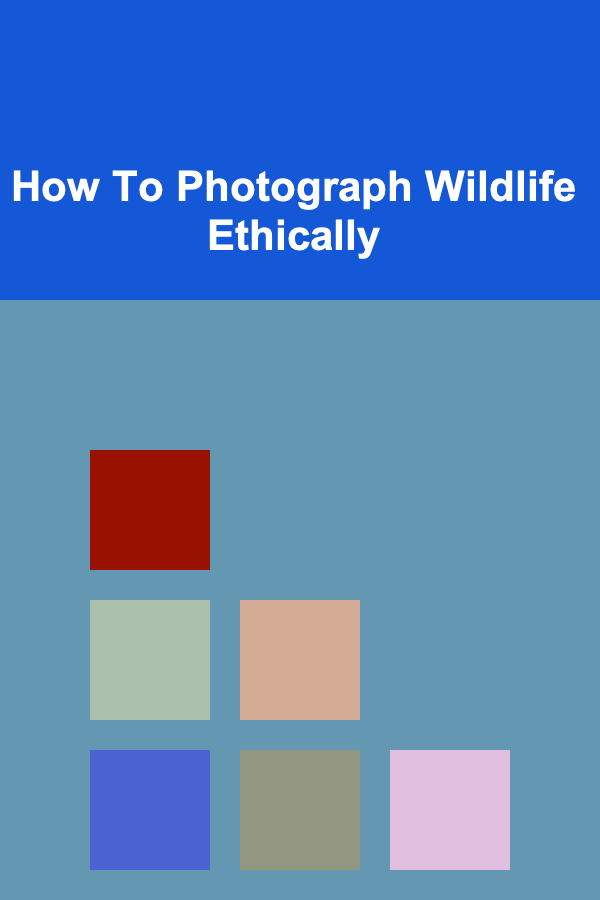 How To Photograph Wildlife Ethically