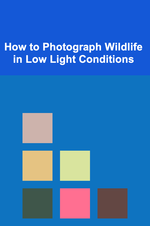 How to Photograph Wildlife in Low Light Conditions