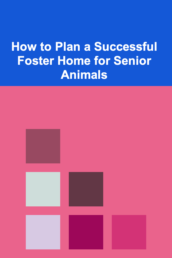 How to Plan a Successful Foster Home for Senior Animals