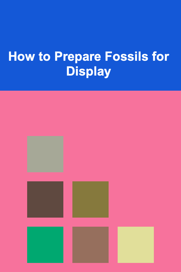How to Prepare Fossils for Display