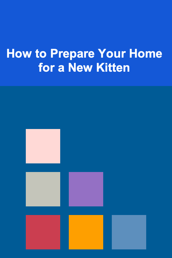 How to Prepare Your Home for a New Kitten