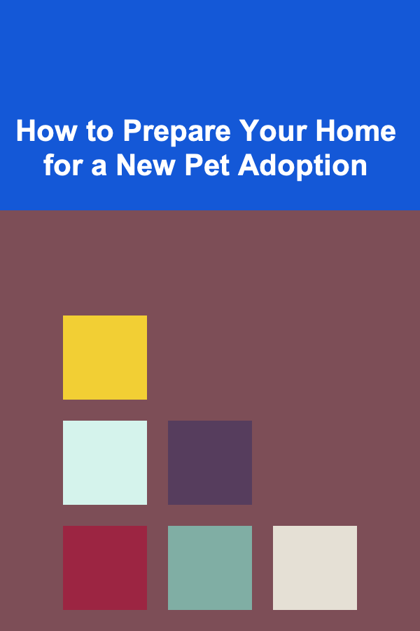 How to Prepare Your Home for a New Pet Adoption