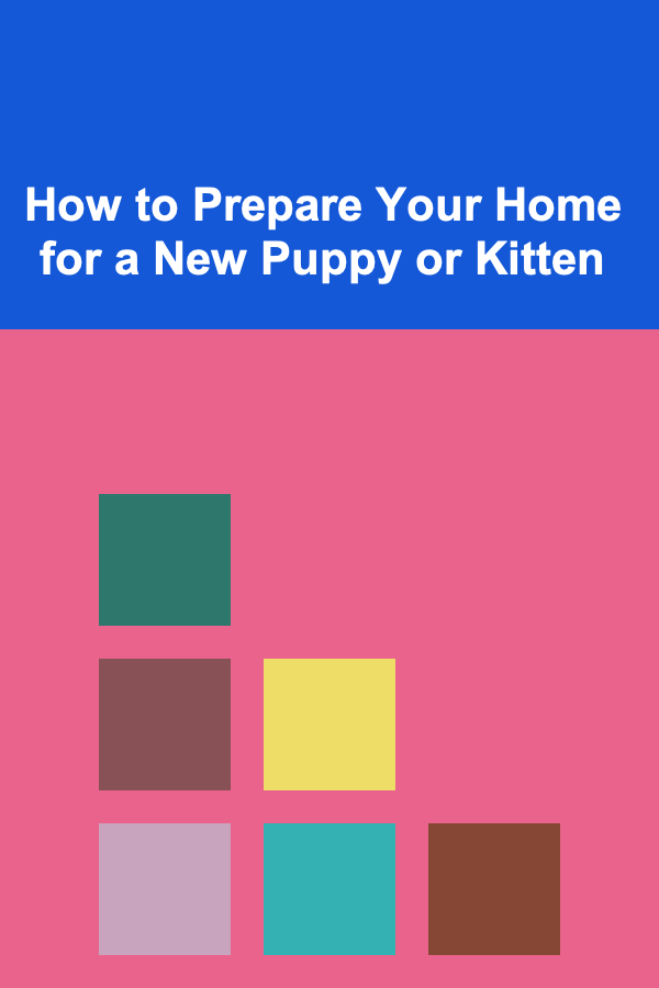 How to Prepare Your Home for a New Puppy or Kitten