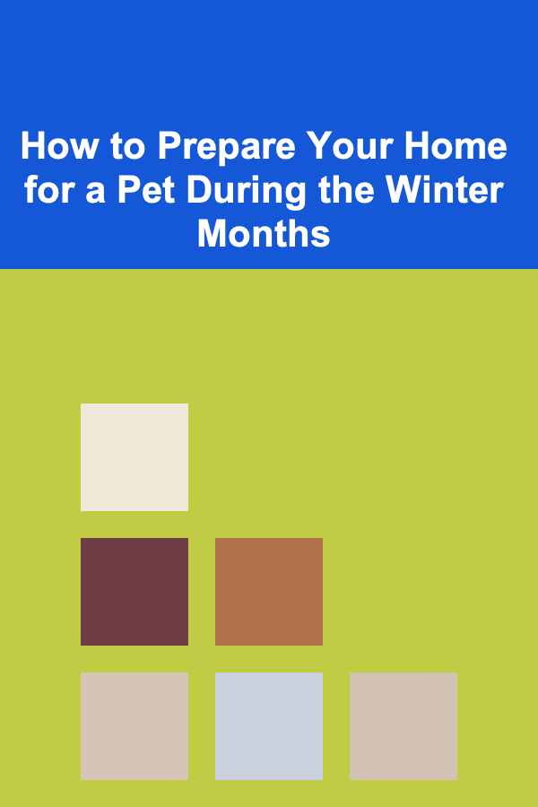 How to Prepare Your Home for a Pet During the Winter Months
