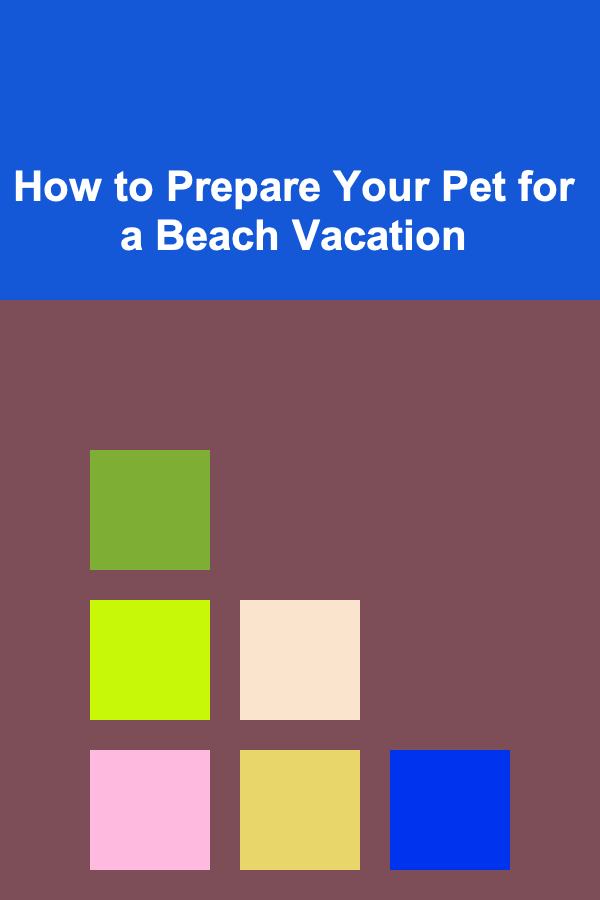How to Prepare Your Pet for a Beach Vacation