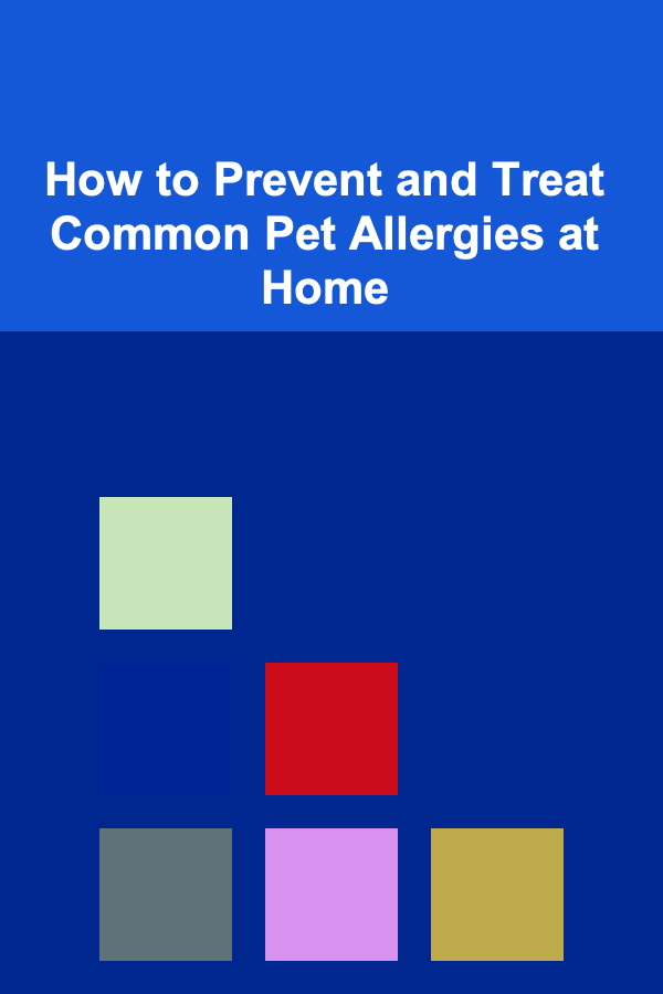 How to Prevent and Treat Common Pet Allergies at Home