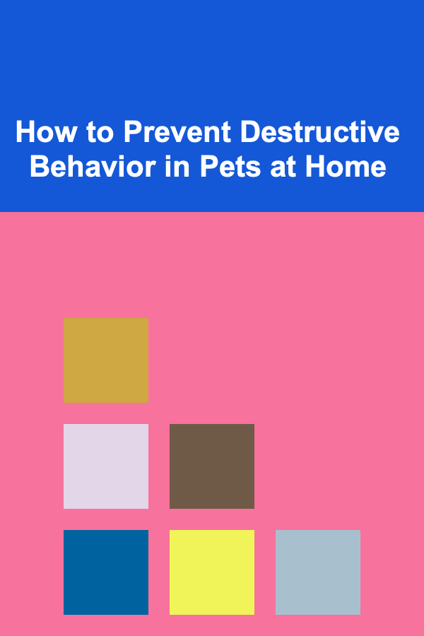 How to Prevent Destructive Behavior in Pets at Home