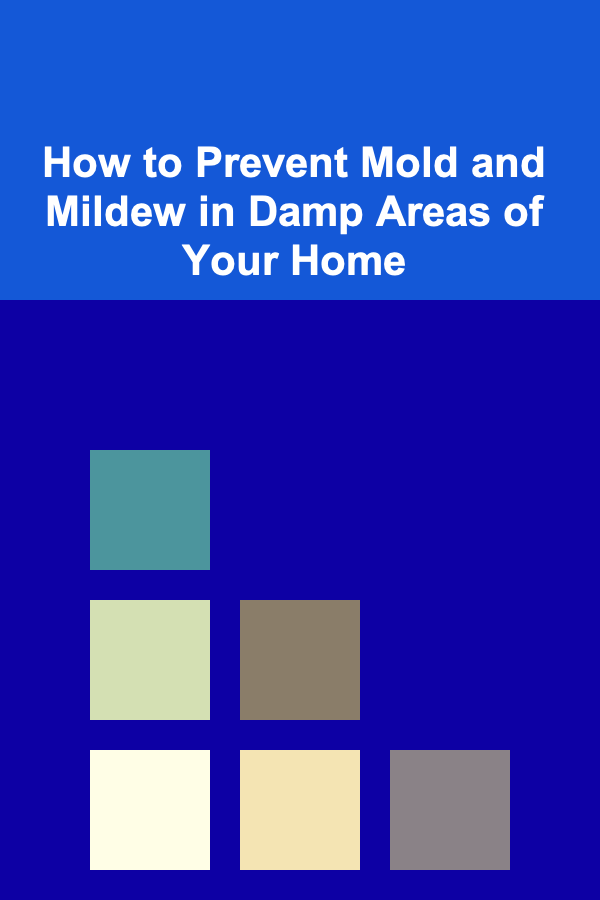 How to Prevent Mold and Mildew in Damp Areas of Your Home