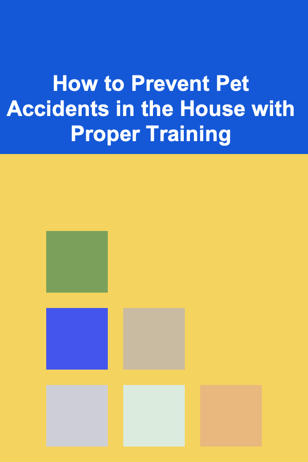 How to Prevent Pet Accidents in the House with Proper Training