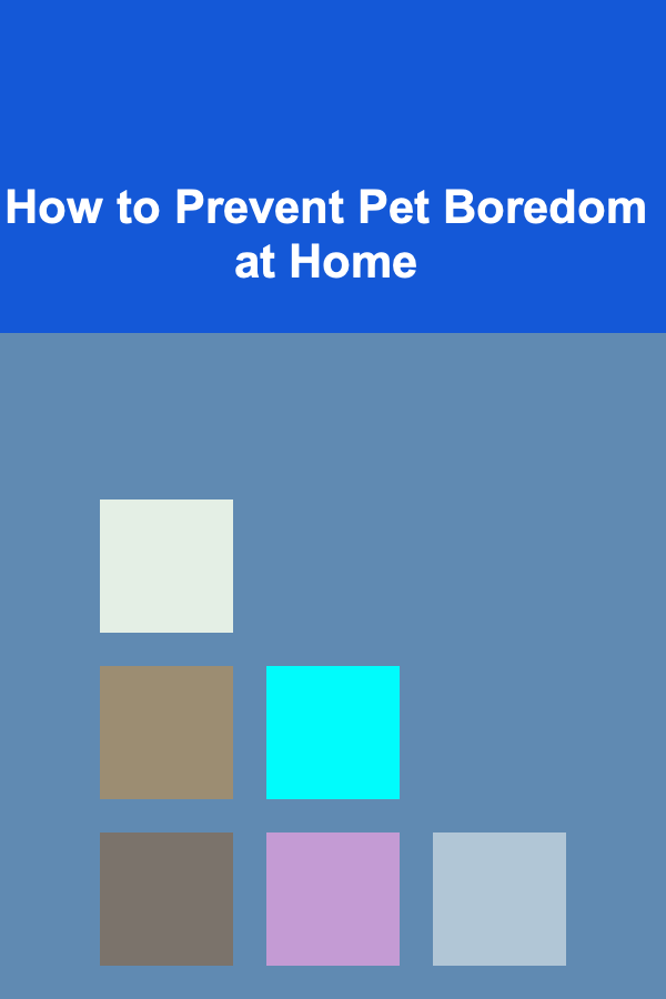 How to Prevent Pet Boredom at Home