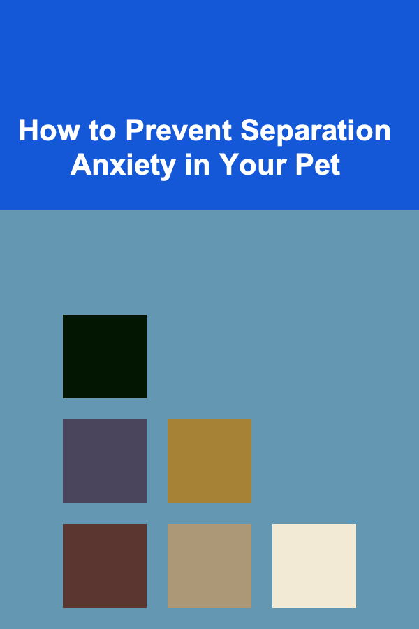 How to Prevent Separation Anxiety in Your Pet