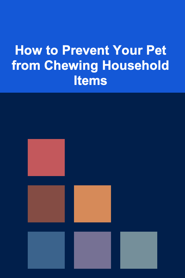 How to Prevent Your Pet from Chewing Household Items