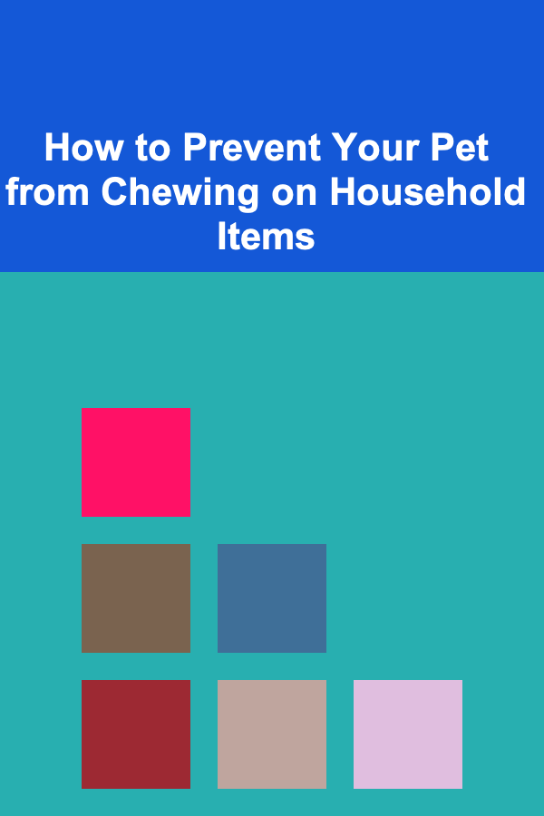 How to Prevent Your Pet from Chewing on Household Items