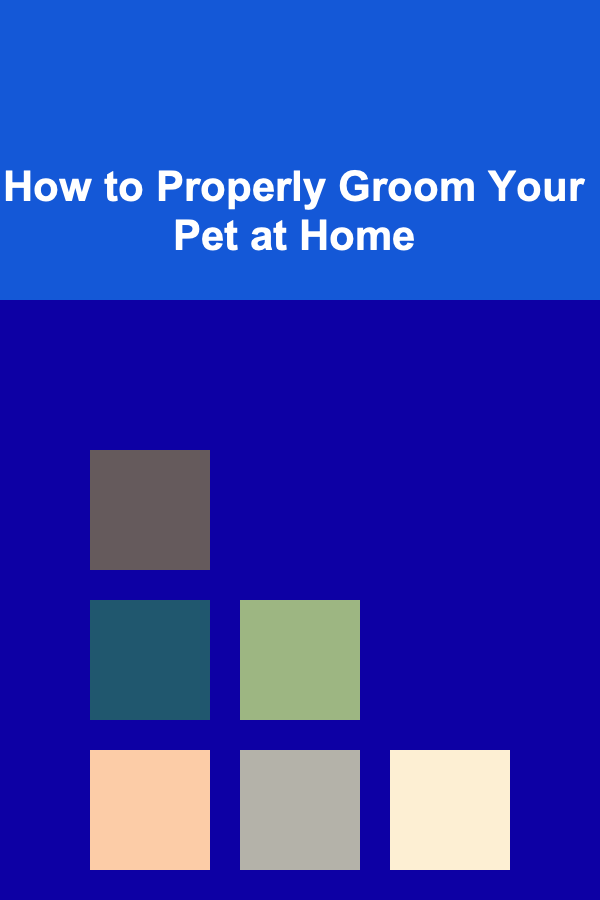 How to Properly Groom Your Pet at Home
