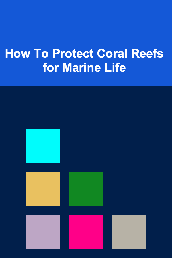 How To Protect Coral Reefs for Marine Life