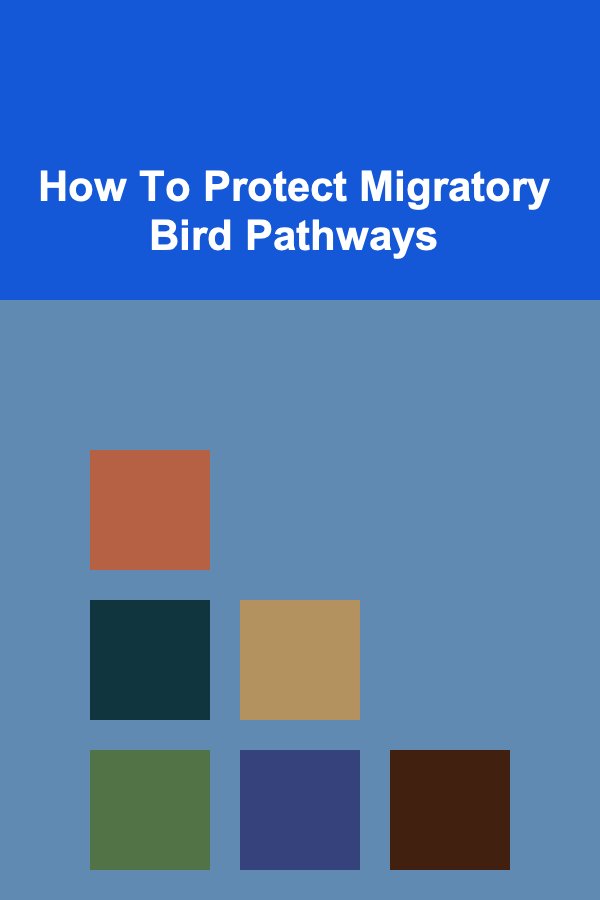 How To Protect Migratory Bird Pathways