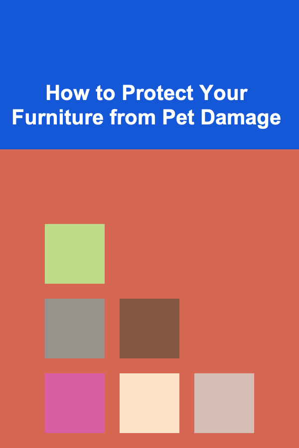 How to Protect Your Furniture from Pet Damage