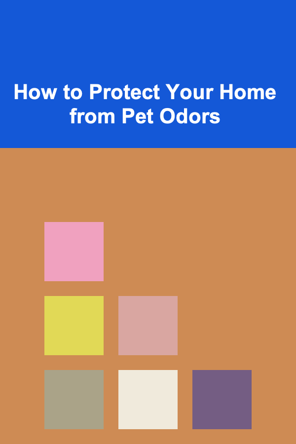 How to Protect Your Home from Pet Odors