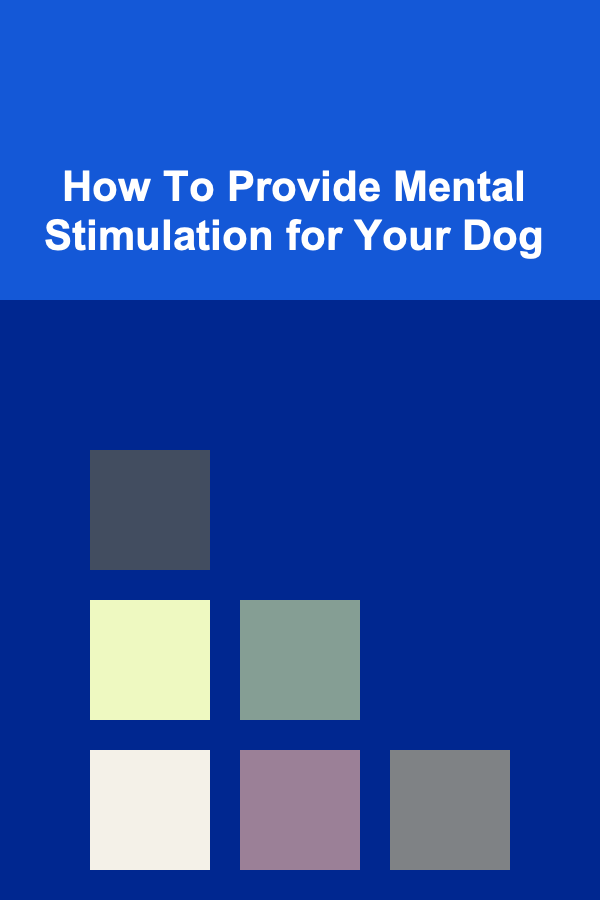 How To Provide Mental Stimulation for Your Dog