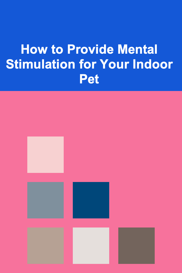 How to Provide Mental Stimulation for Your Indoor Pet