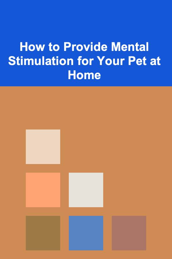 How to Provide Mental Stimulation for Your Pet at Home