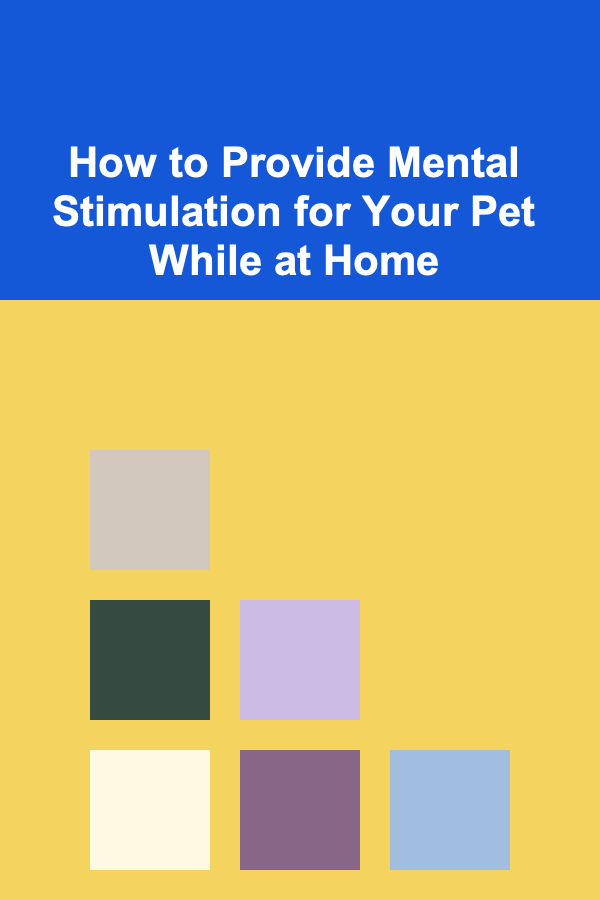 How to Provide Mental Stimulation for Your Pet While at Home
