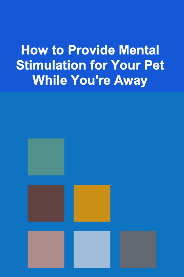 How to Provide Mental Stimulation for Your Pet While You're Away