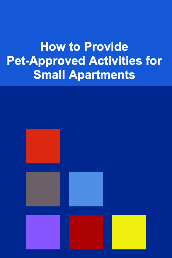 How to Provide Pet-Approved Activities for Small Apartments