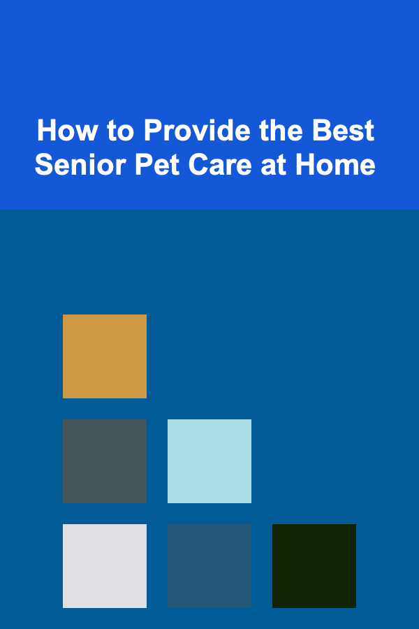 How to Provide the Best Senior Pet Care at Home