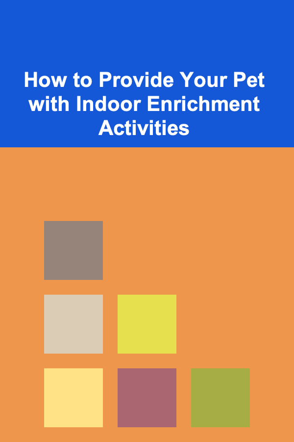 How to Provide Your Pet with Indoor Enrichment Activities