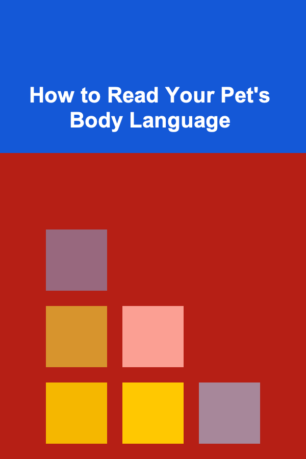 How to Read Your Pet's Body Language