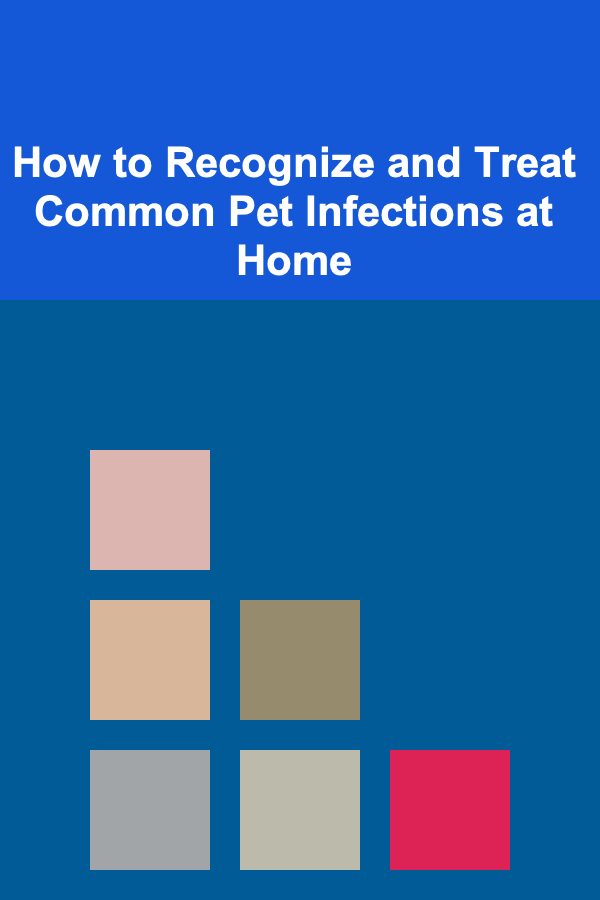 How to Recognize and Treat Common Pet Infections at Home