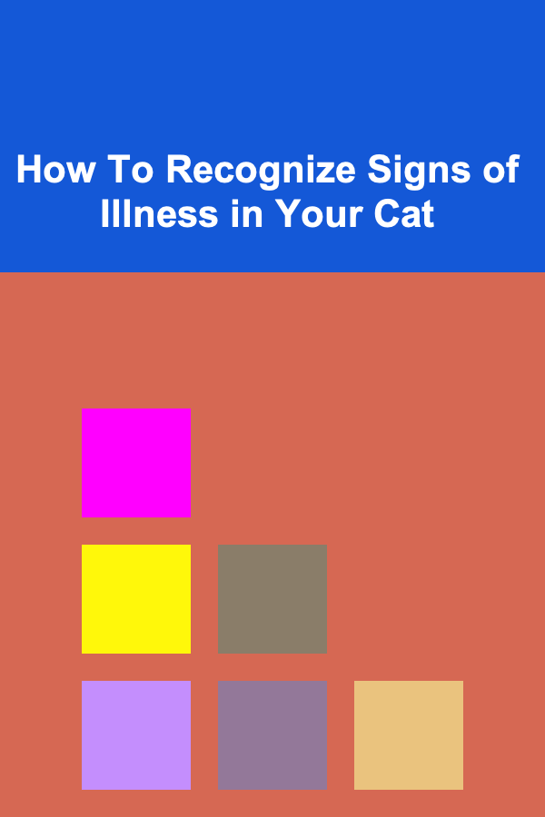 How To Recognize Signs of Illness in Your Cat