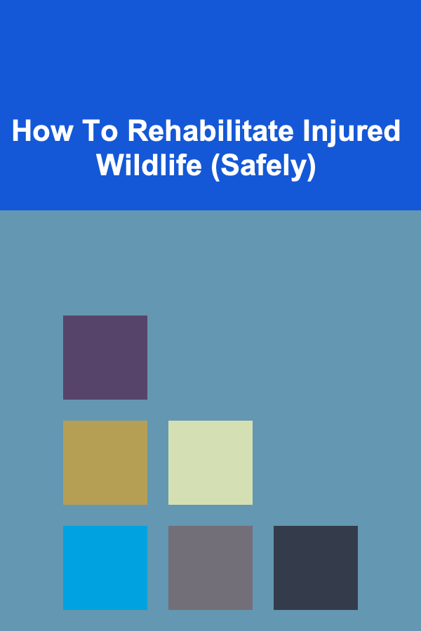 How To Rehabilitate Injured Wildlife (Safely)