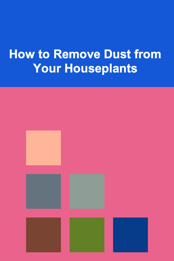 How to Remove Dust from Your Houseplants