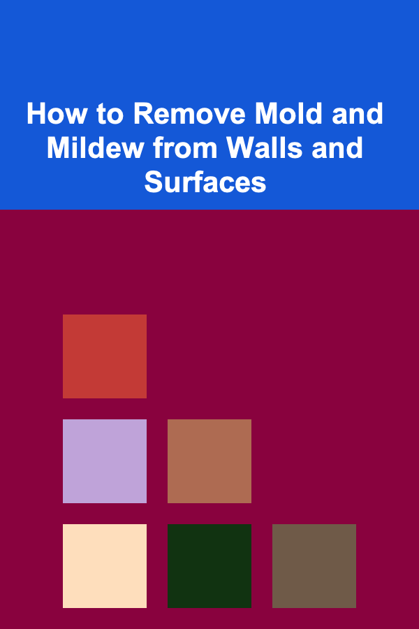 How to Remove Mold and Mildew from Walls and Surfaces