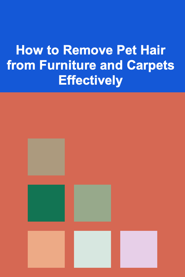 How to Remove Pet Hair from Furniture and Carpets Effectively