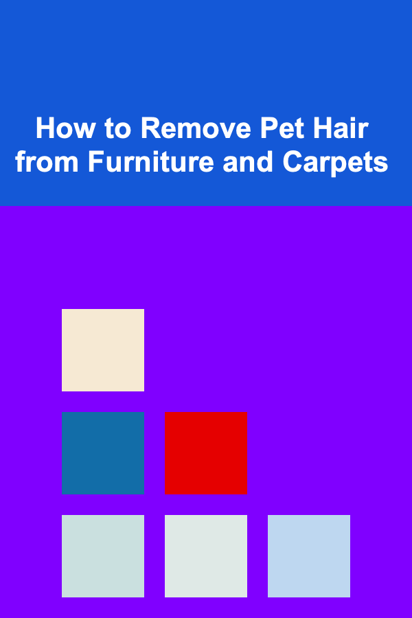 How to Remove Pet Hair from Furniture and Carpets