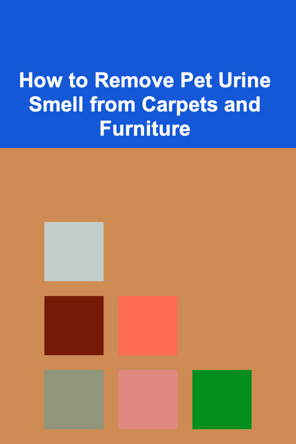 How to Remove Pet Urine Smell from Carpets and Furniture