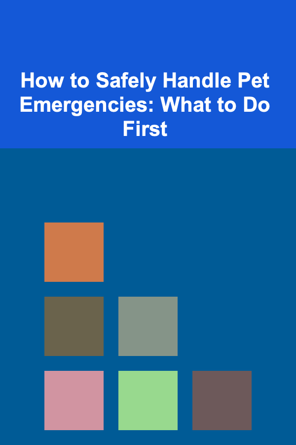 How to Safely Handle Pet Emergencies: What to Do First