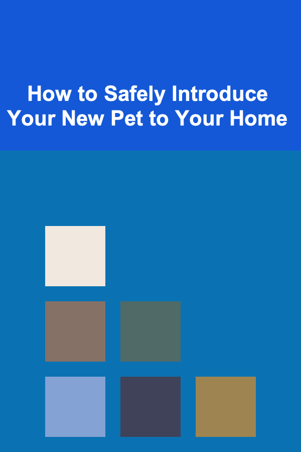How to Safely Introduce Your New Pet to Your Home