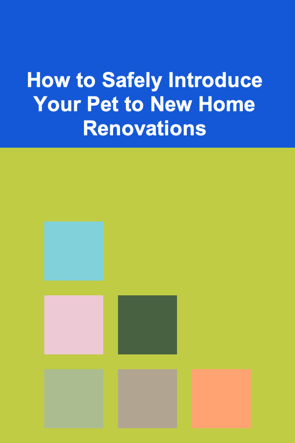 How to Safely Introduce Your Pet to New Home Renovations