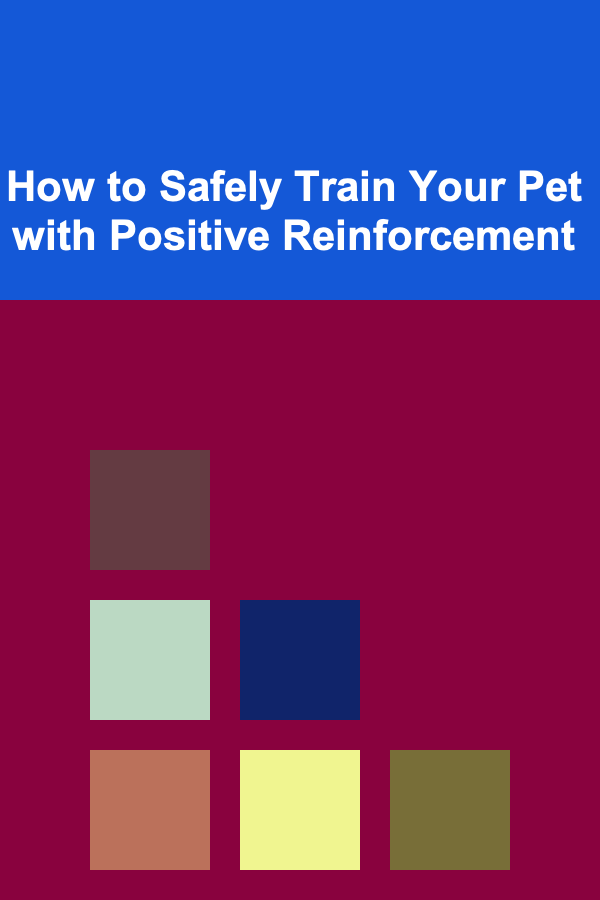 How to Safely Train Your Pet with Positive Reinforcement