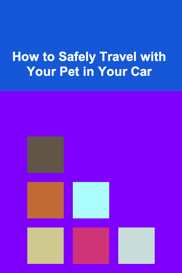 How to Safely Travel with Your Pet in Your Car