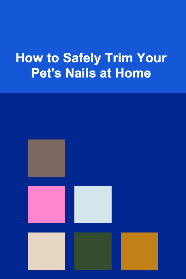How to Safely Trim Your Pet's Nails at Home