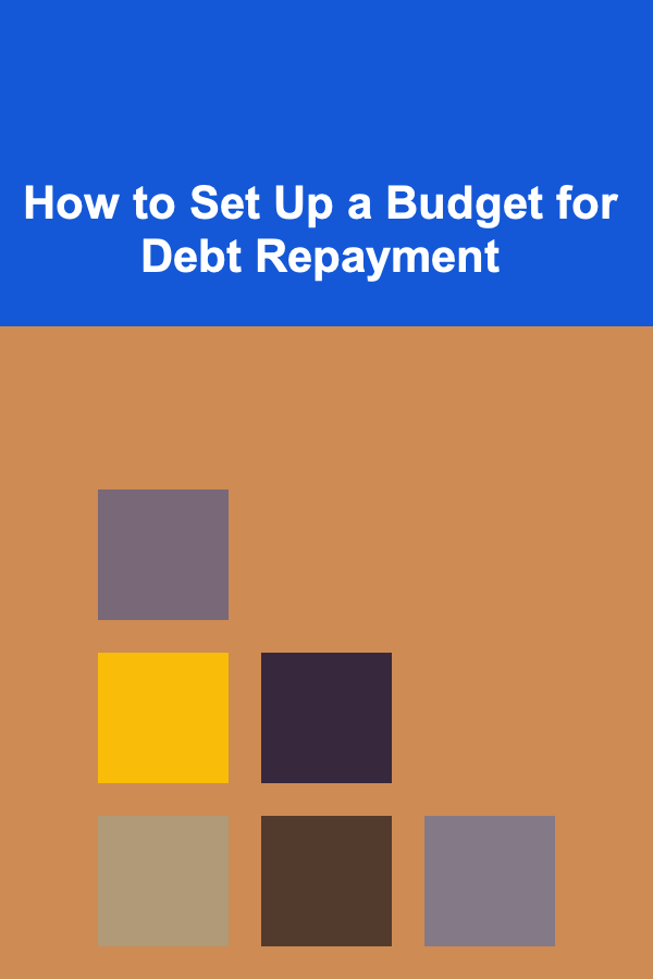 How to Set Up a Budget for Debt Repayment