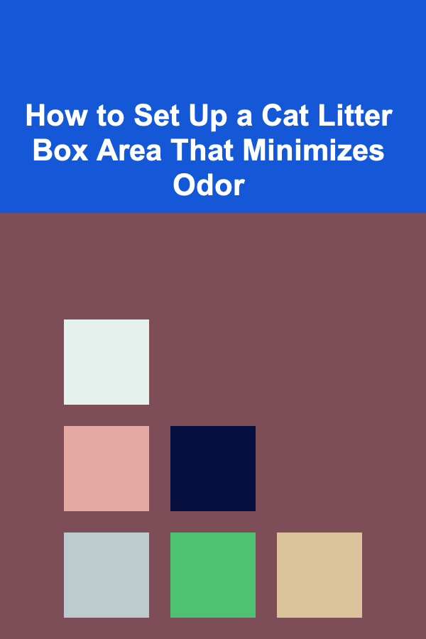 How to Set Up a Cat Litter Box Area That Minimizes Odor