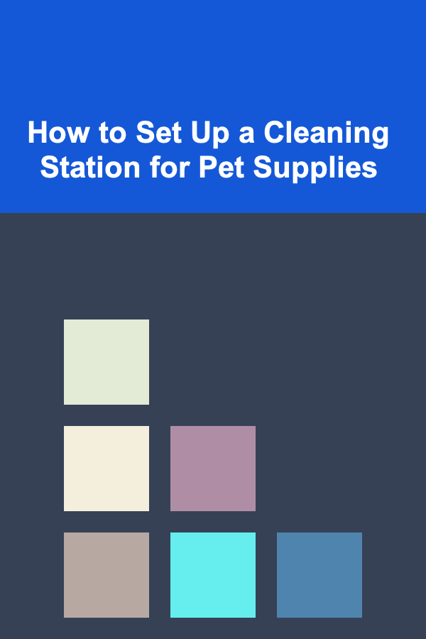 How to Set Up a Cleaning Station for Pet Supplies